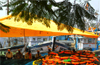 Fisherfolk unhappy over excess catch and low prices